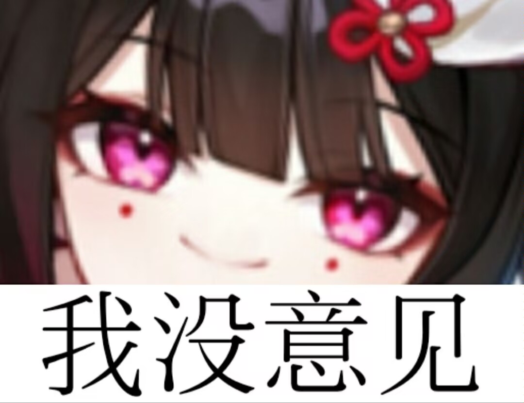 我没意见