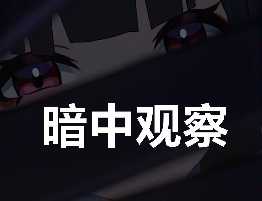 暗中观察（视奸）