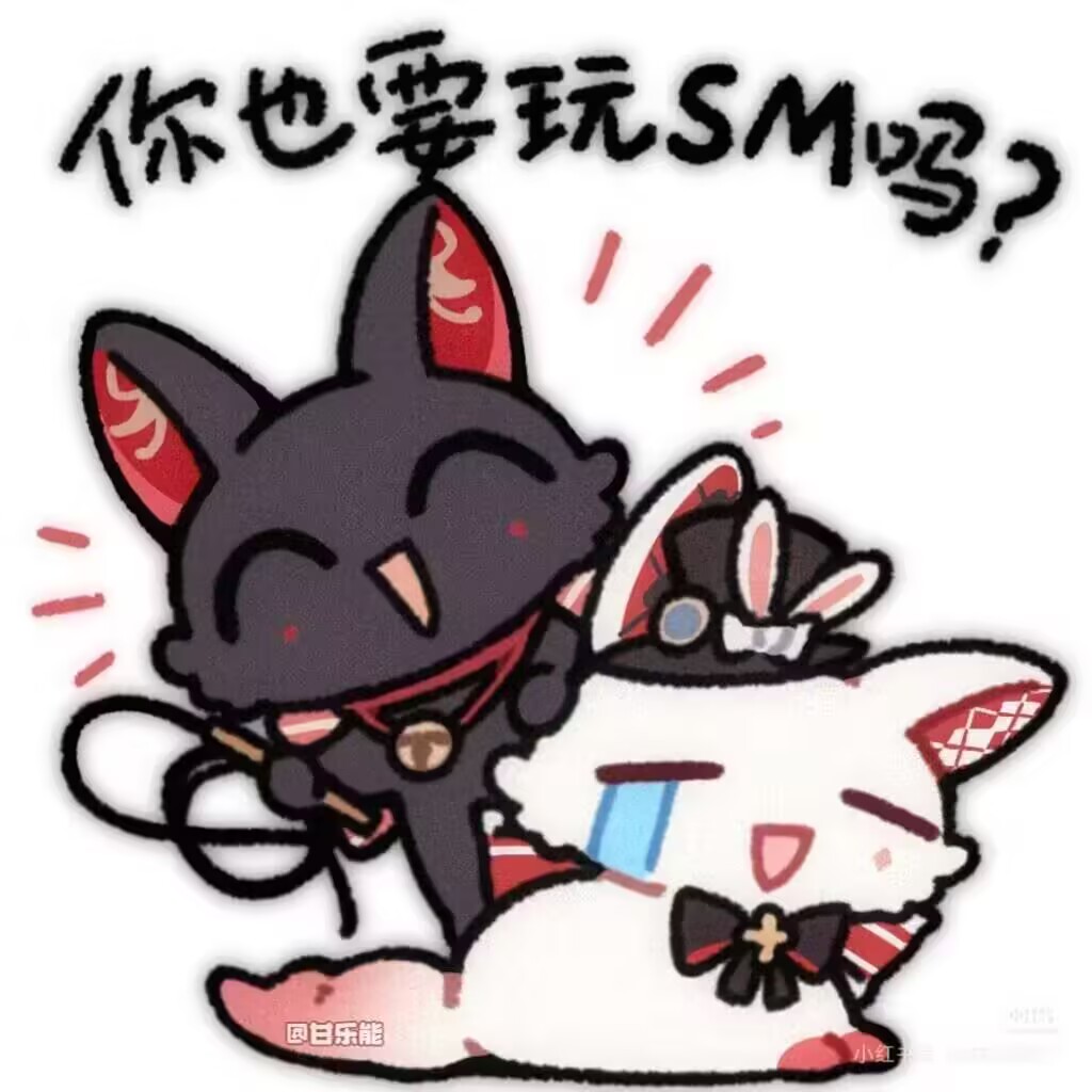 你也要玩SM吗